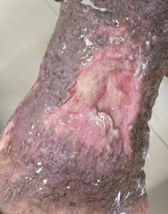 C:\Users\ADMINI~1\AppData\Local\Temp\WeChat Files\0dc3dec2c35d2dc38317334b8c88f96.jpg